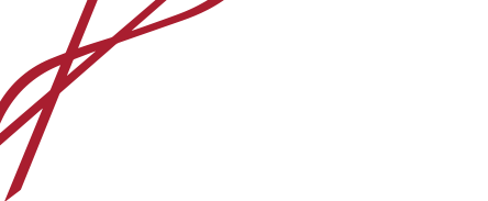 Vertical Solutions logo