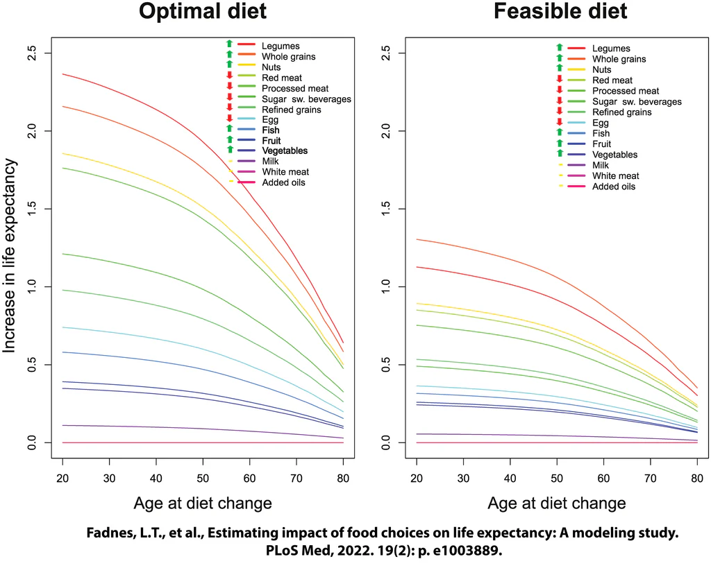 Charts from Fadnes et al. 2022 showing estimated increase in life expectancy by age of diet change, for optimal and feasible diets — legumes, whole grains, and nuts at the top